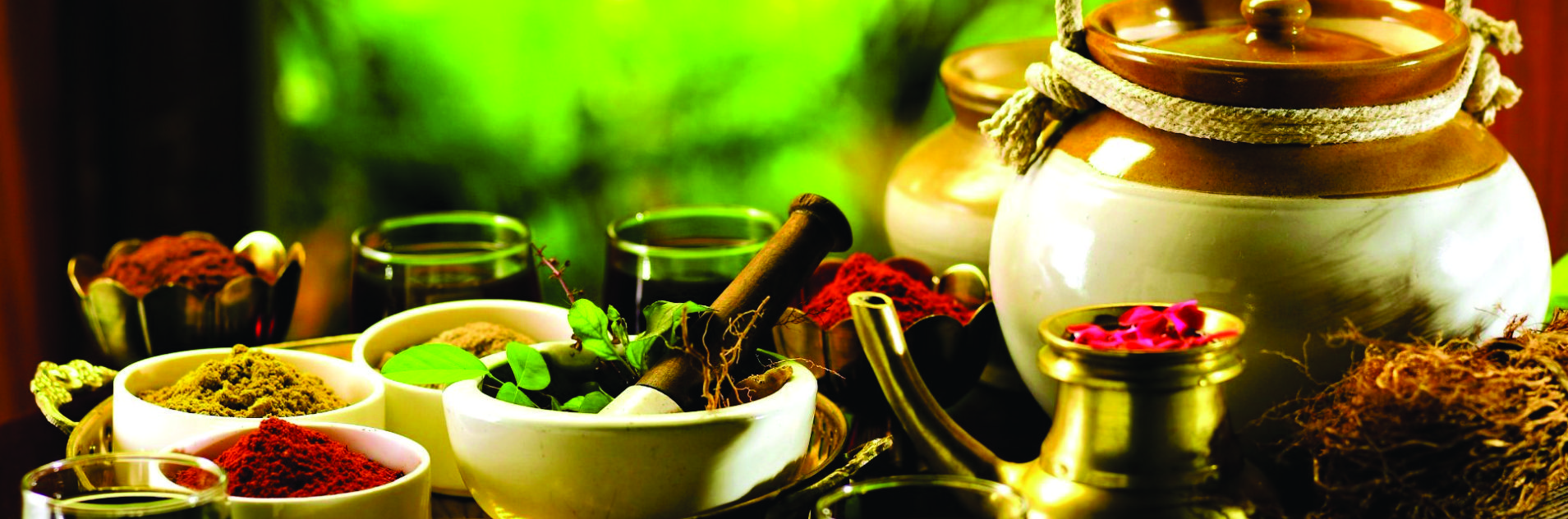 Bachelor of Ayurveda, Medicine and Surgery (BAMS)